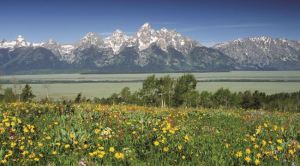 Tetons