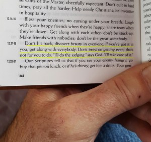 Eugene Peterson's version of Romans 12:17-19