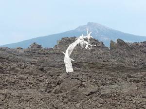 Three Sisters Wilderness Area, Oregon